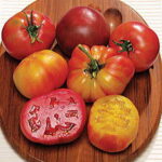 Rainbow Blend Heirloom Tomato Seeds 1