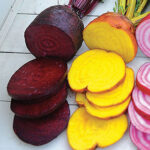 Rainbow Mix Beet Seeds 1