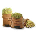 Raw Hemp Sprouting Bag 1