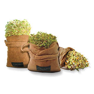 Raw Hemp Sprouting Bag