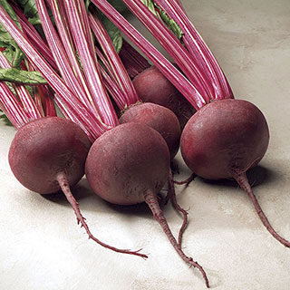 Red Ace Hybrid Beet Seeds