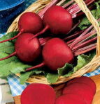 Red Cloud Hybrid Beet Seeds 1