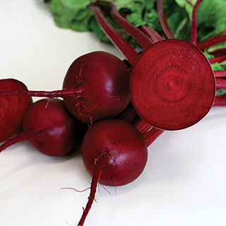 Robin Hybrid Beet Seeds