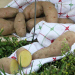 Rose Finn Apple Potato – 2 LB Bag 1