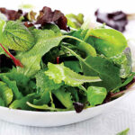 Salad Bowl Mix Organic Greens Seeds 1