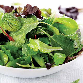 Salad Bowl Mix Organic Greens Seeds