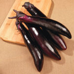 Shikou Hybrid Eggplant Seeds 1