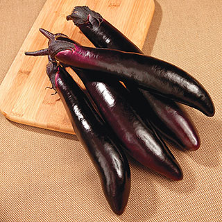 Shikou Hybrid Eggplant Seeds