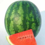 Shiny Boy Hybrid Watermelon Seeds 1