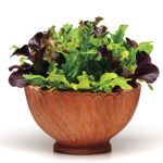 Simply Salad Alfresco Mix Seeds 1