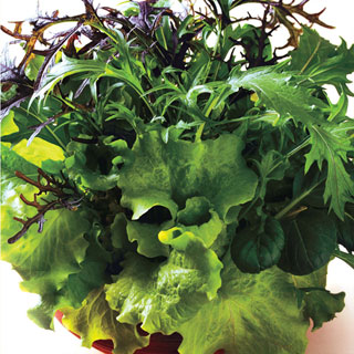 Simply Salad Global Gourmet Mix Seeds