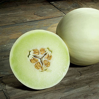 Snow Mass Honeydew Melon Seeds