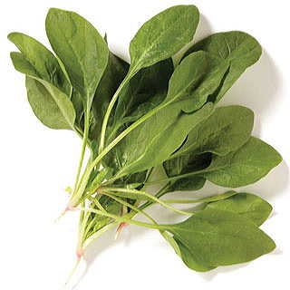 Spinach Novico Hybrid