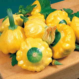 Sunburst Hybrid Squash Seeds