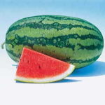 Sweet Beauty Hybrid Watermelon Seeds 1