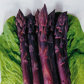 Sweet Purple Asparagus Seeds