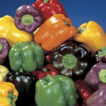 Sweet Rainbow Mix Pepper Seeds 1