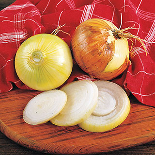 Texas Super-Sweet Onion Plants