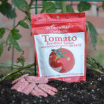Tomato Fertilizer Spikes 1