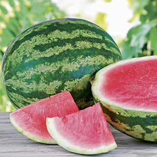 Triple Crown Hybrid Watermelon Seeds