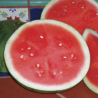 Triple Treat Hybrid Watermelon Seeds