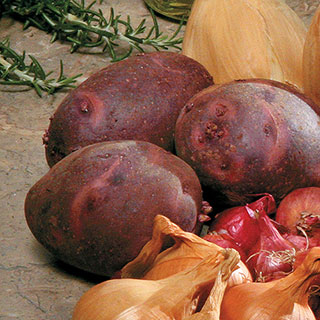 Viking Purple Potato - 2 LB Bag