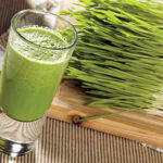 Wheatgrass Seeds 1