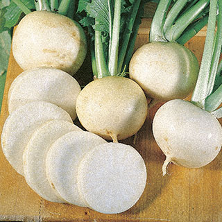 White Lady Hybrid Turnip Seeds