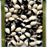 Yin Yang Shell Bean Seeds 1
