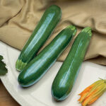 Zucchini Spineless Perfection 1