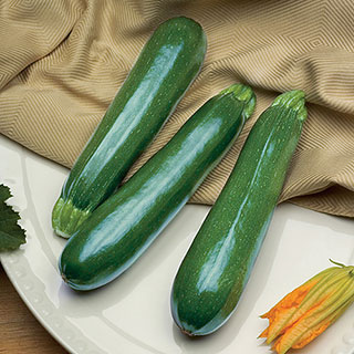 Zucchini Spineless Perfection